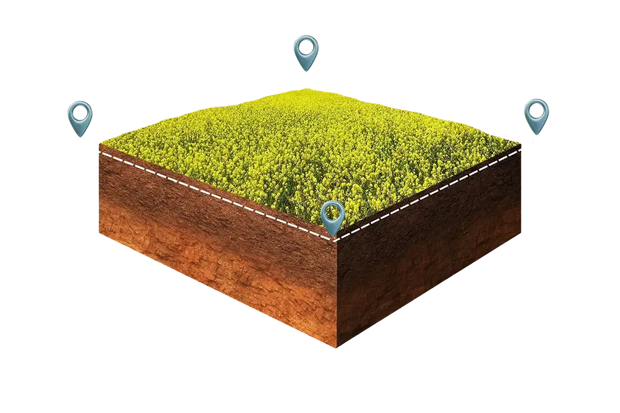 Parcelă măsurată în AgroCity