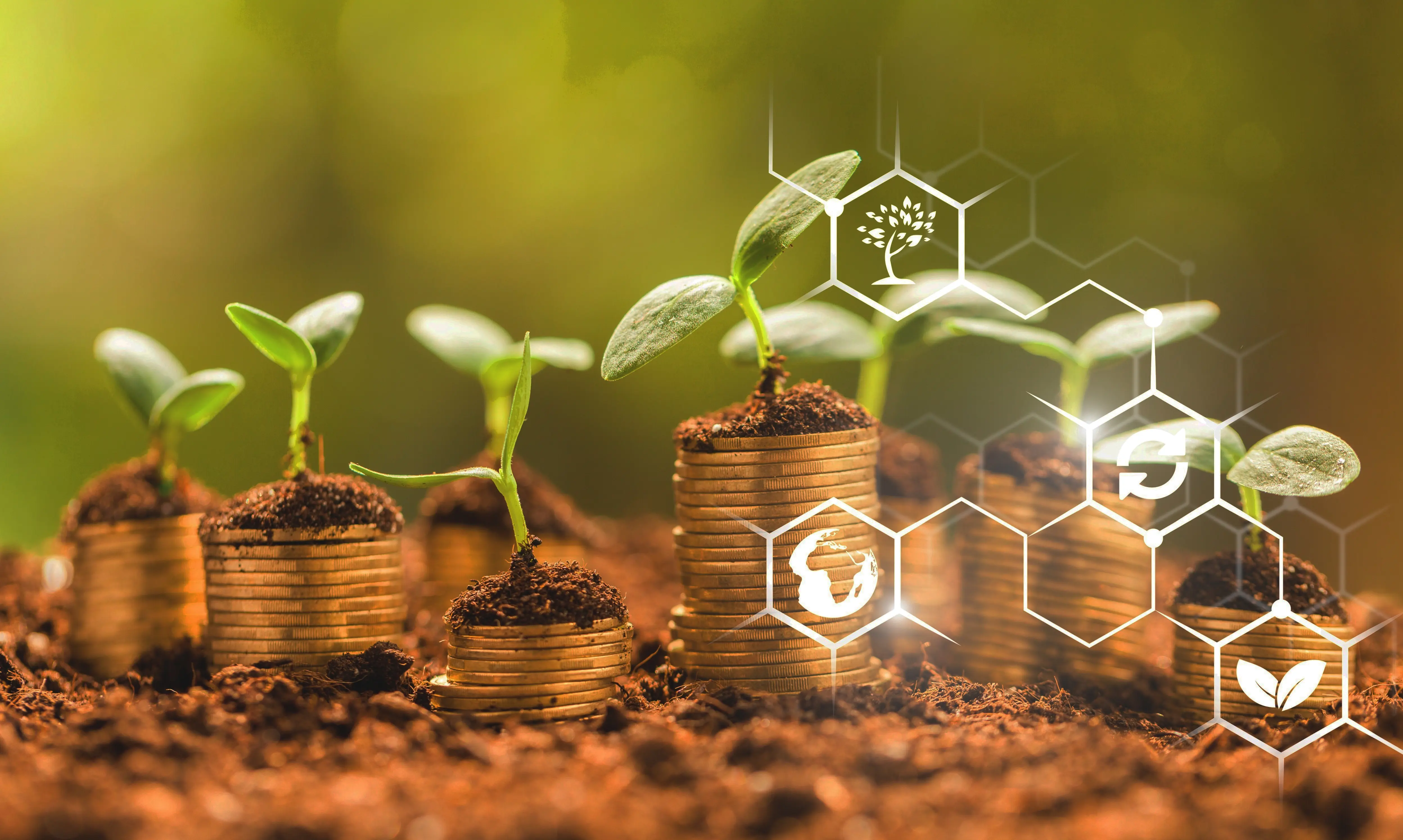 Investiții în tehnologia agricolă modernă: simbol al creșterii financiare și sustenabilității.